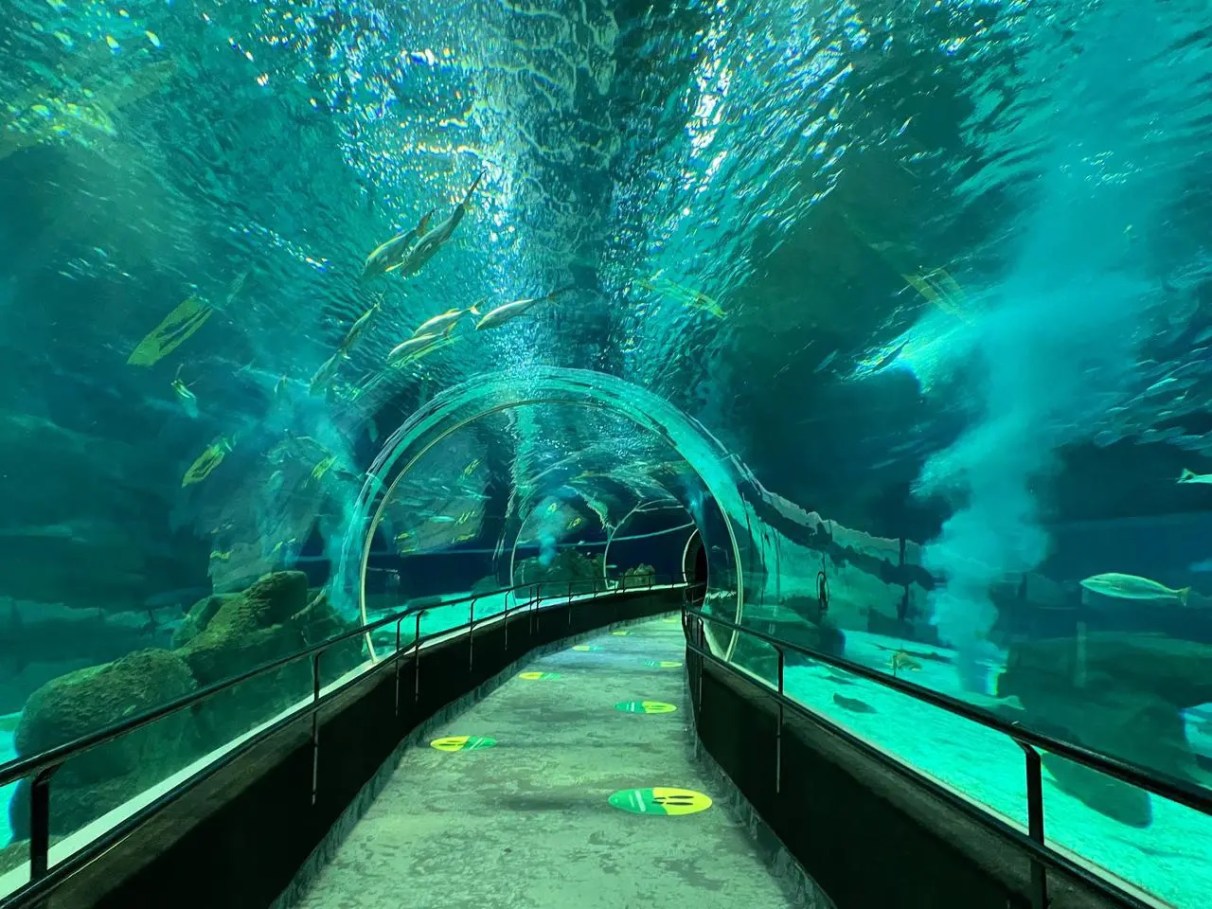 preço ingresso AquaRio