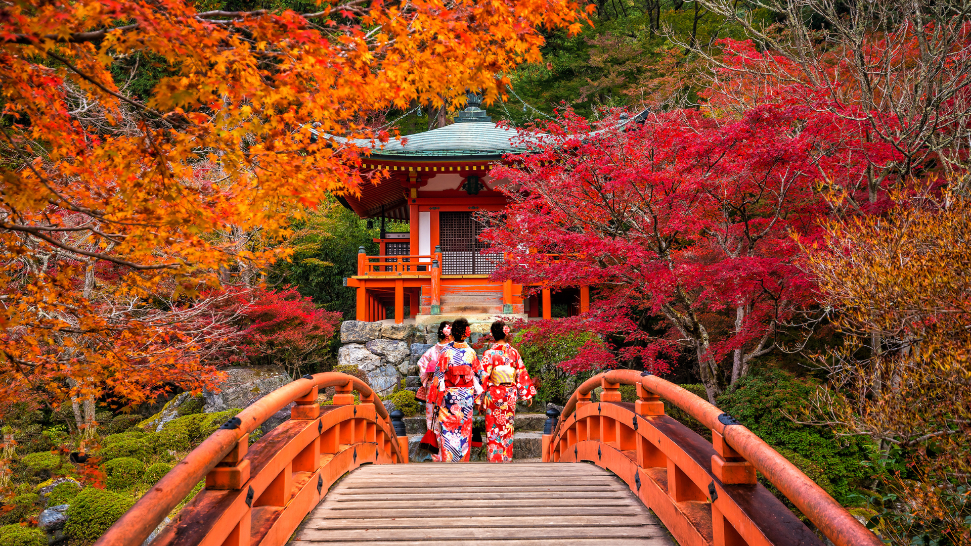 folhas de outono Japão