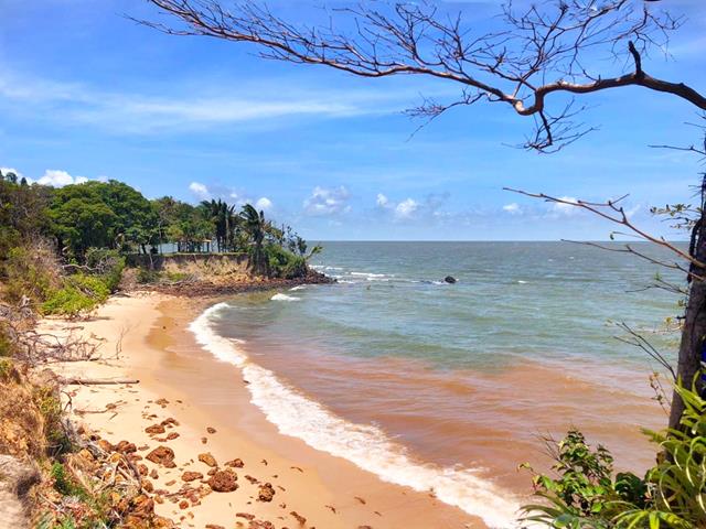 o que fazer na ilha de marajó