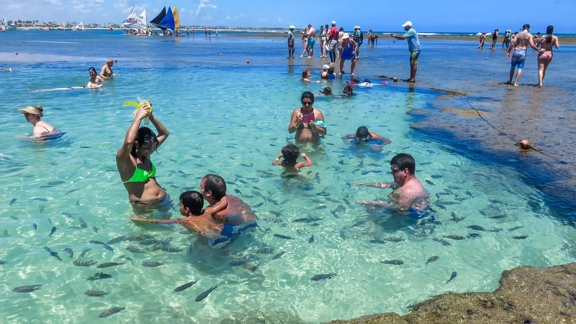 o que fazer em porto de galinhas