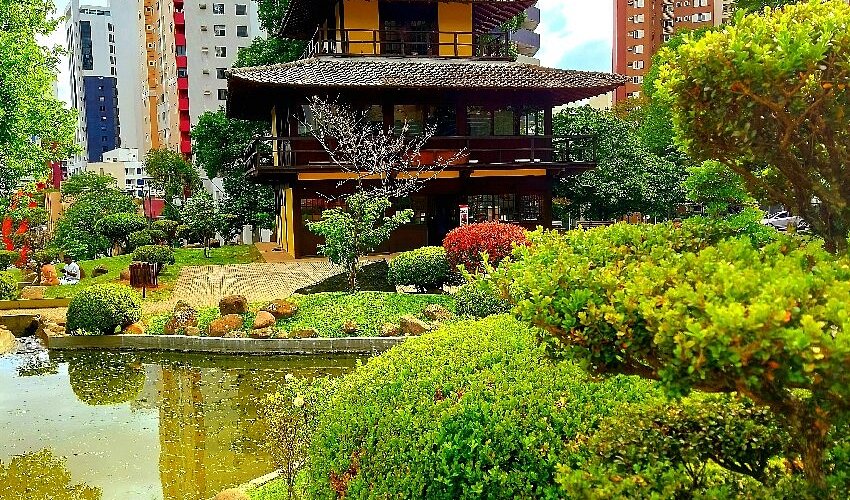 cerejeiras praça do Japão