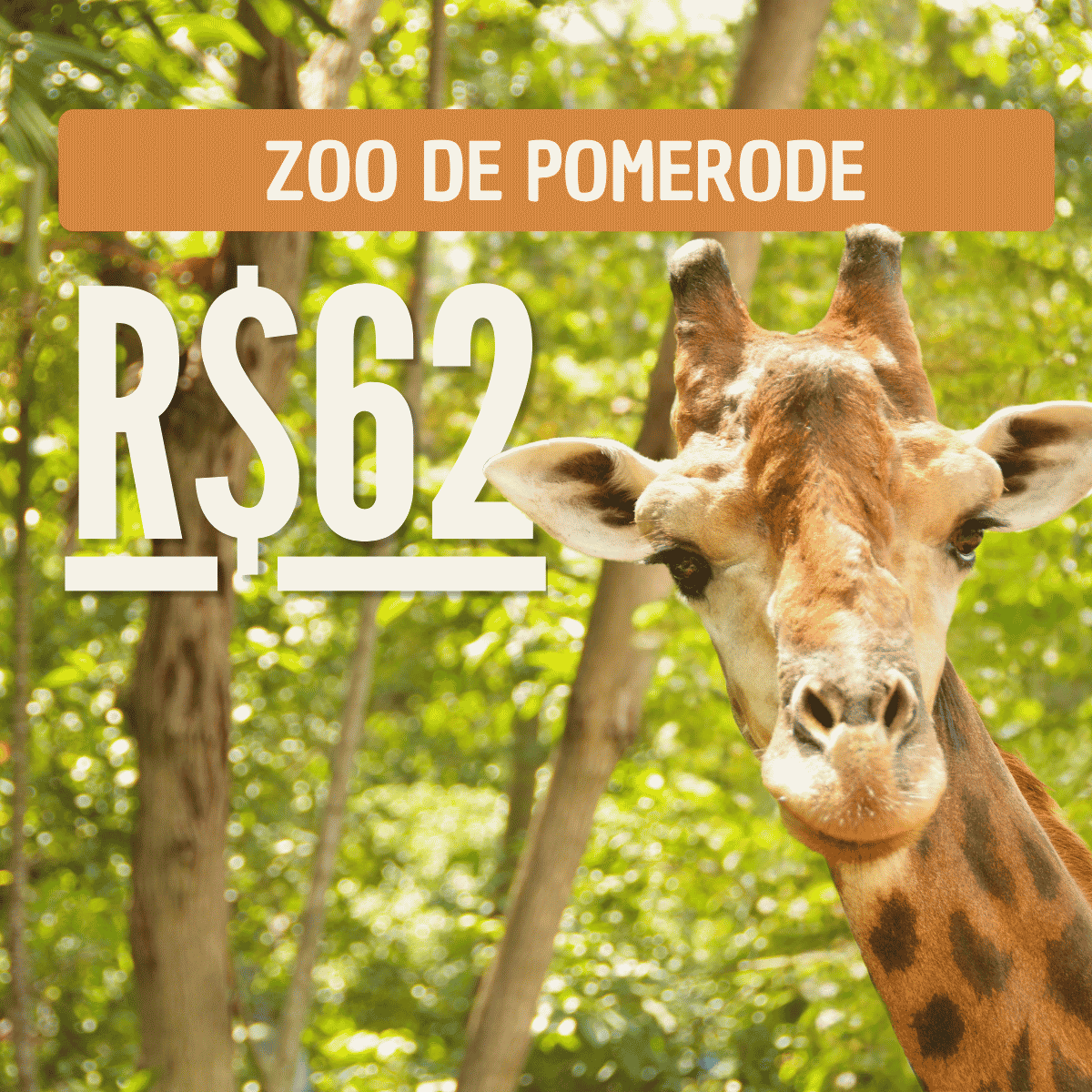 ingresso BioParque Rio valor