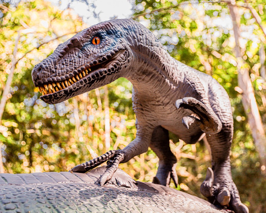 parque de dinossauros Miguel Pereira