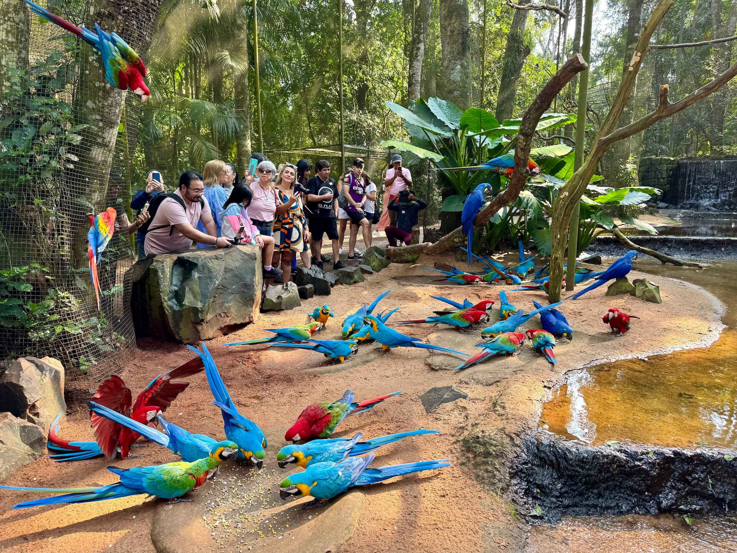 Atrações Foz do Iguaçu