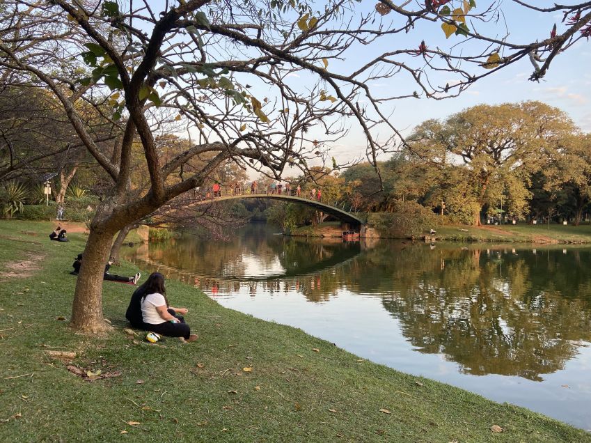 museus parque ibirapuera