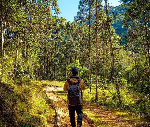 passeio