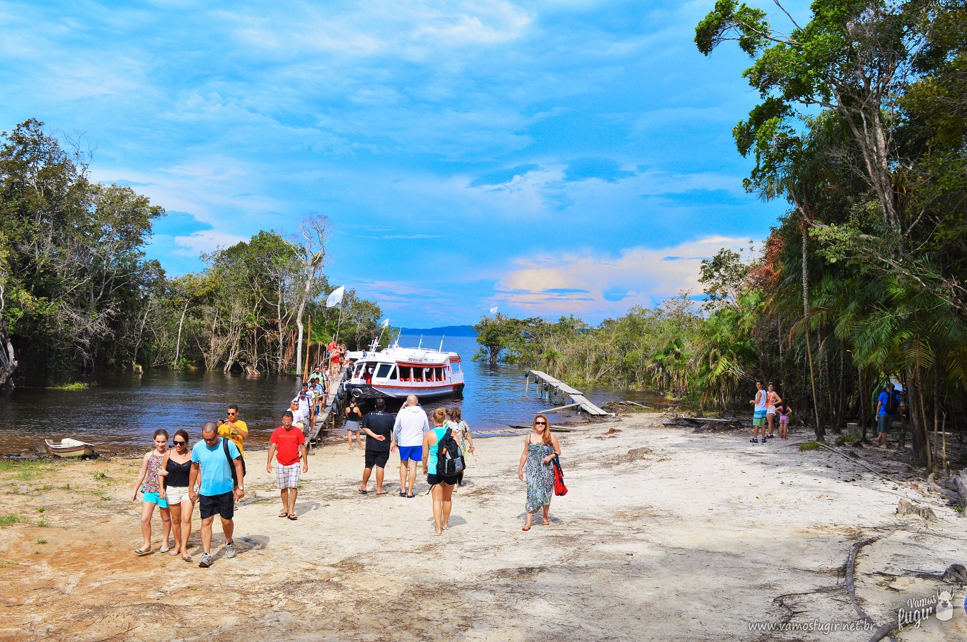 passeios amazônia manaus