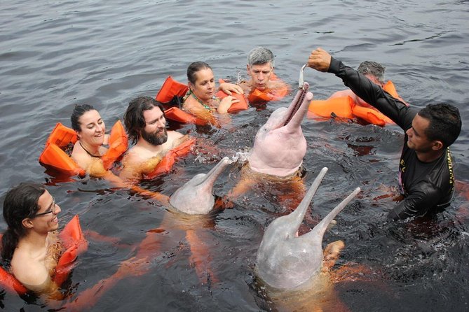melhor época para visitar manaus