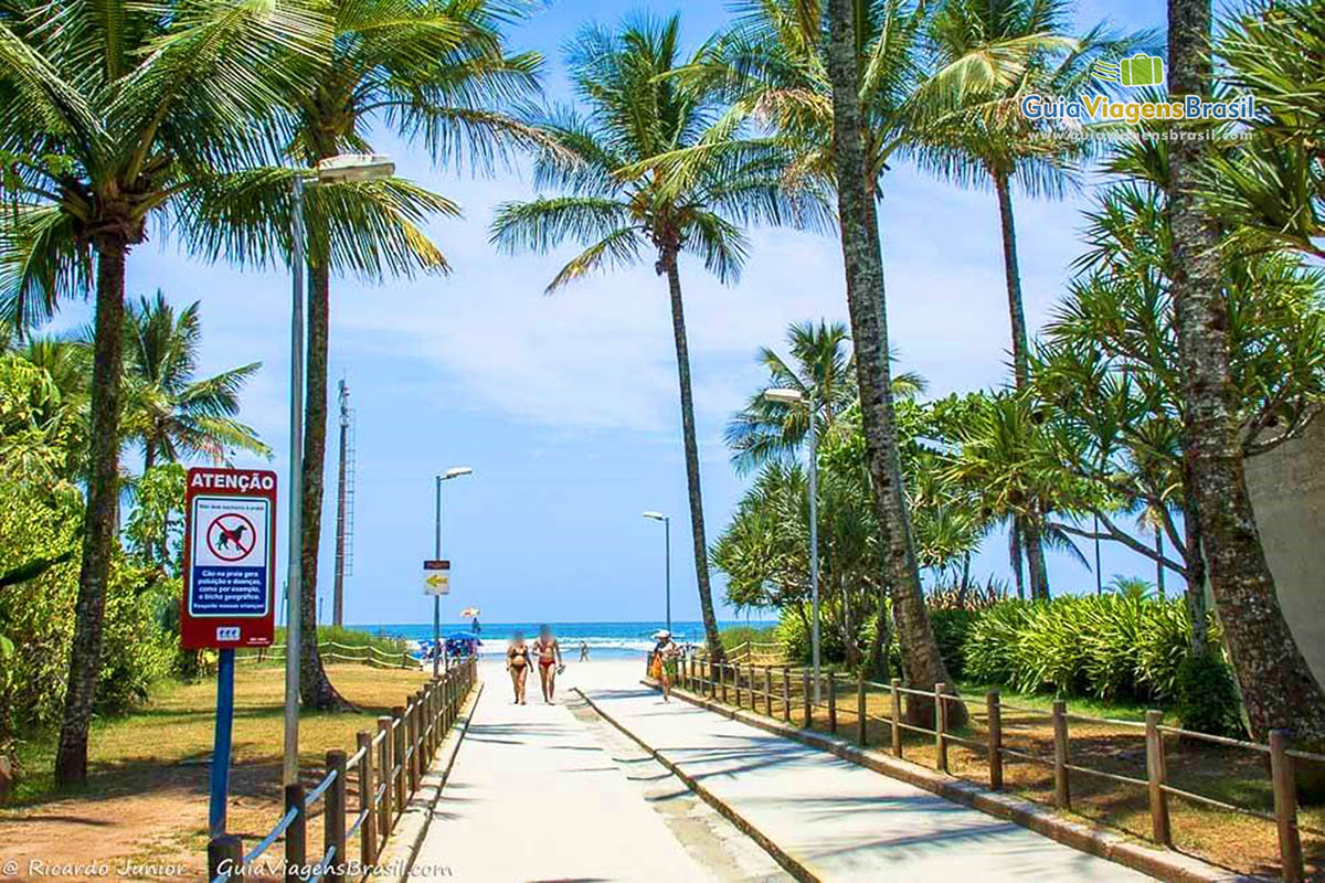 restaurantes riviera de são lourenço