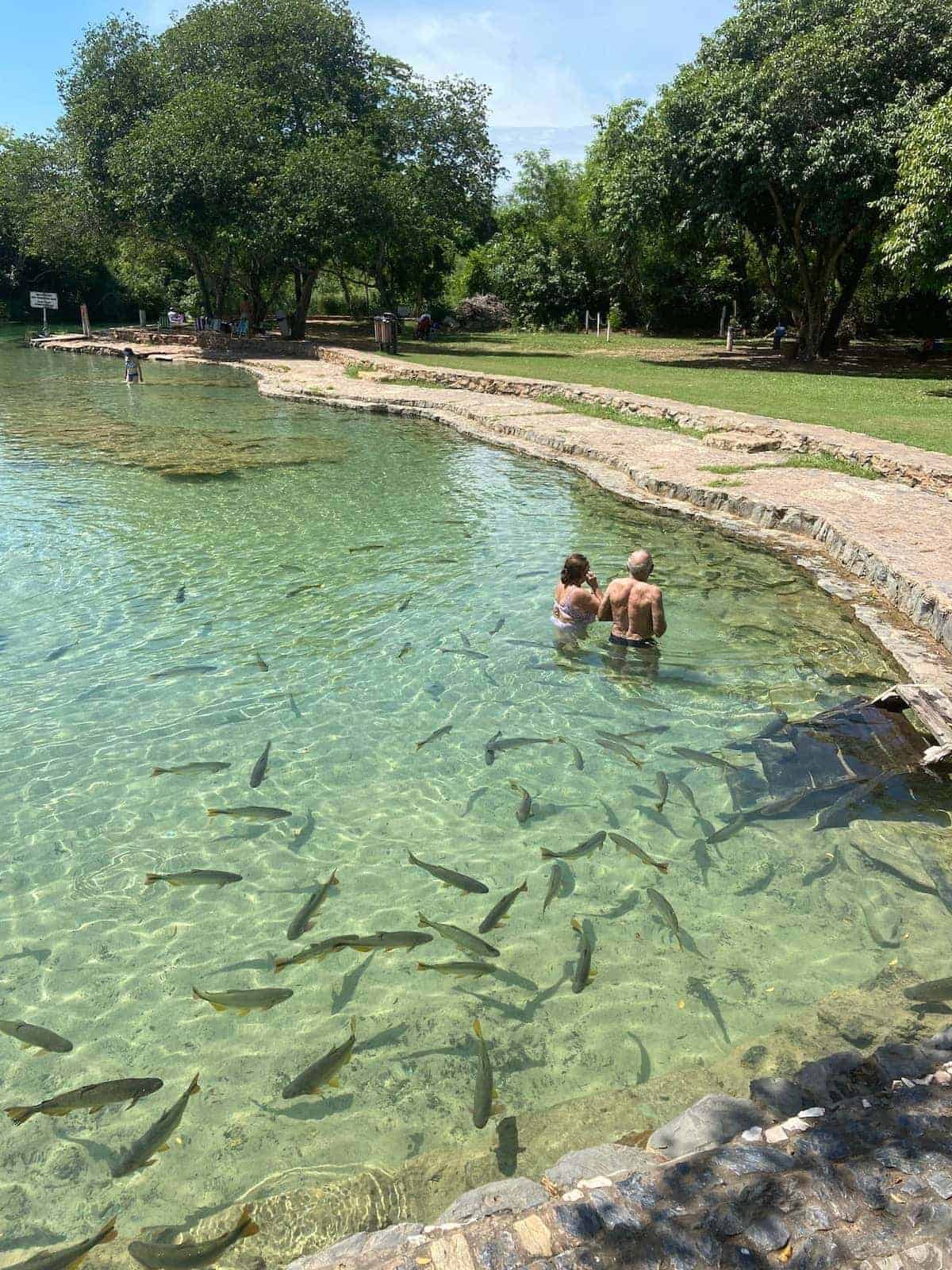 o que fazer em 7 dias pantanal e bonito