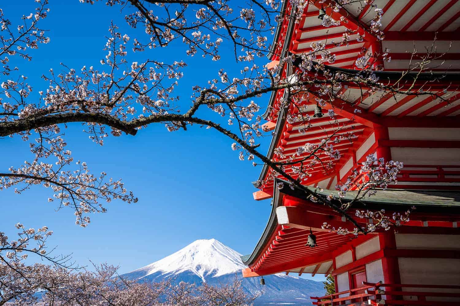 melhores atrações Japão