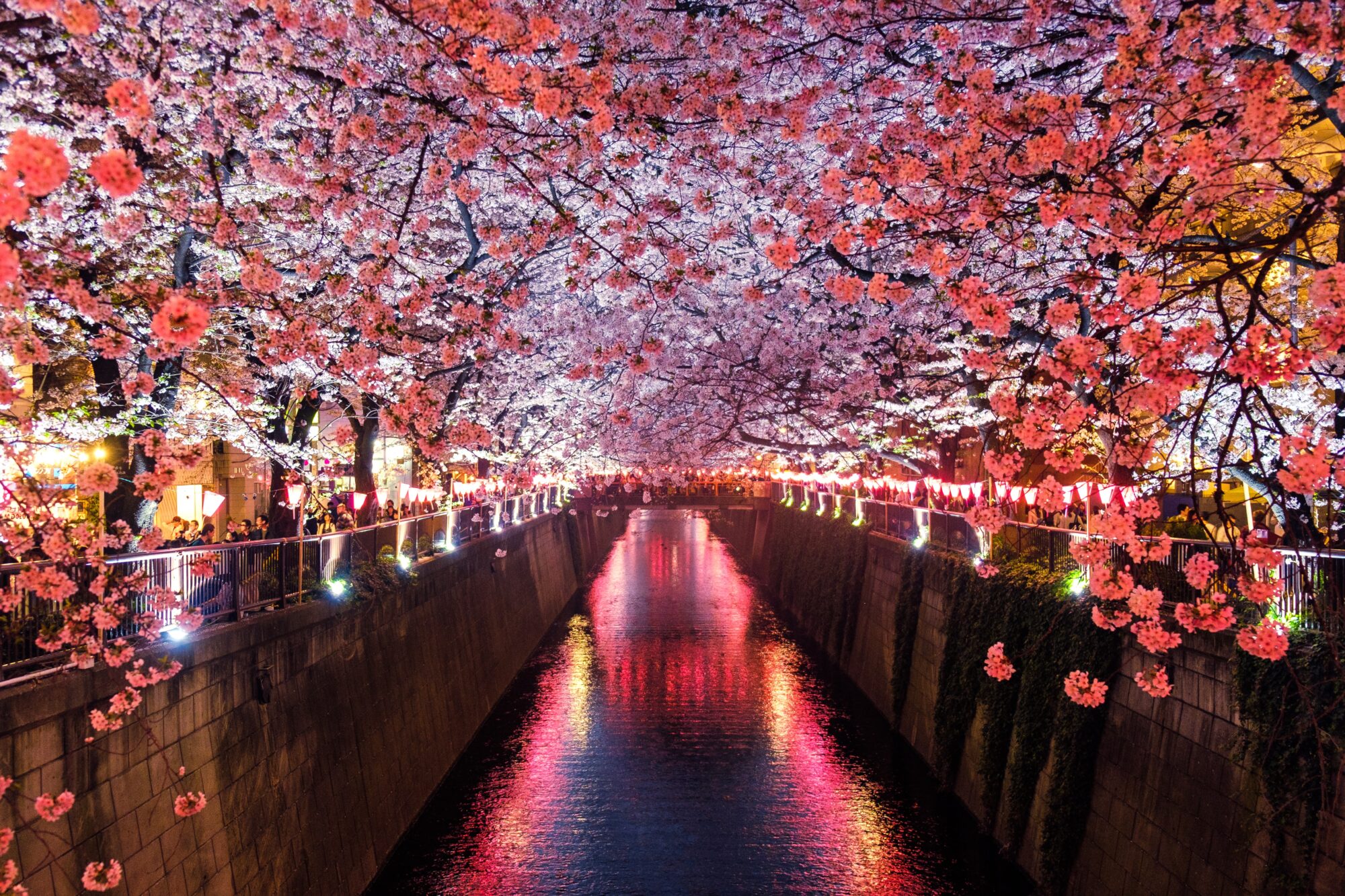 cultura e tradição Japão