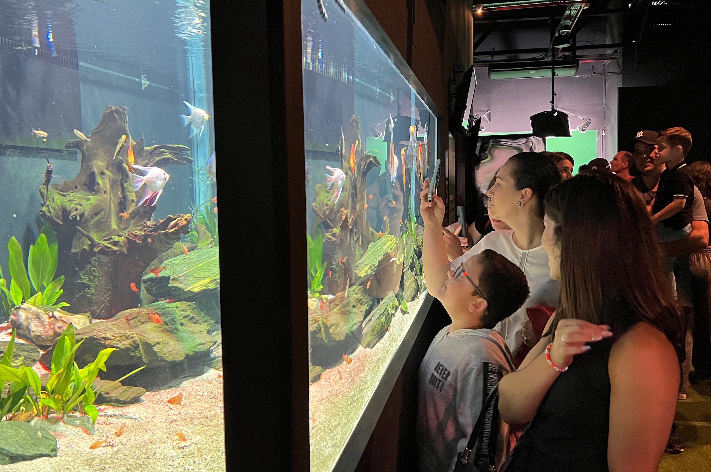 Ingressos Oceanic Aquarium