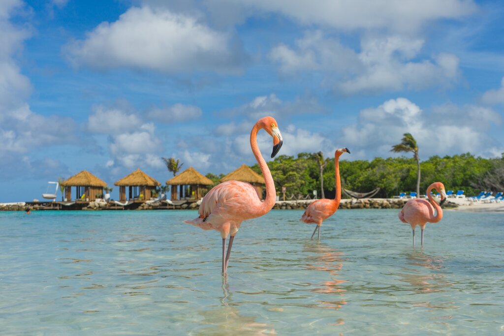 o que fazer em aruba