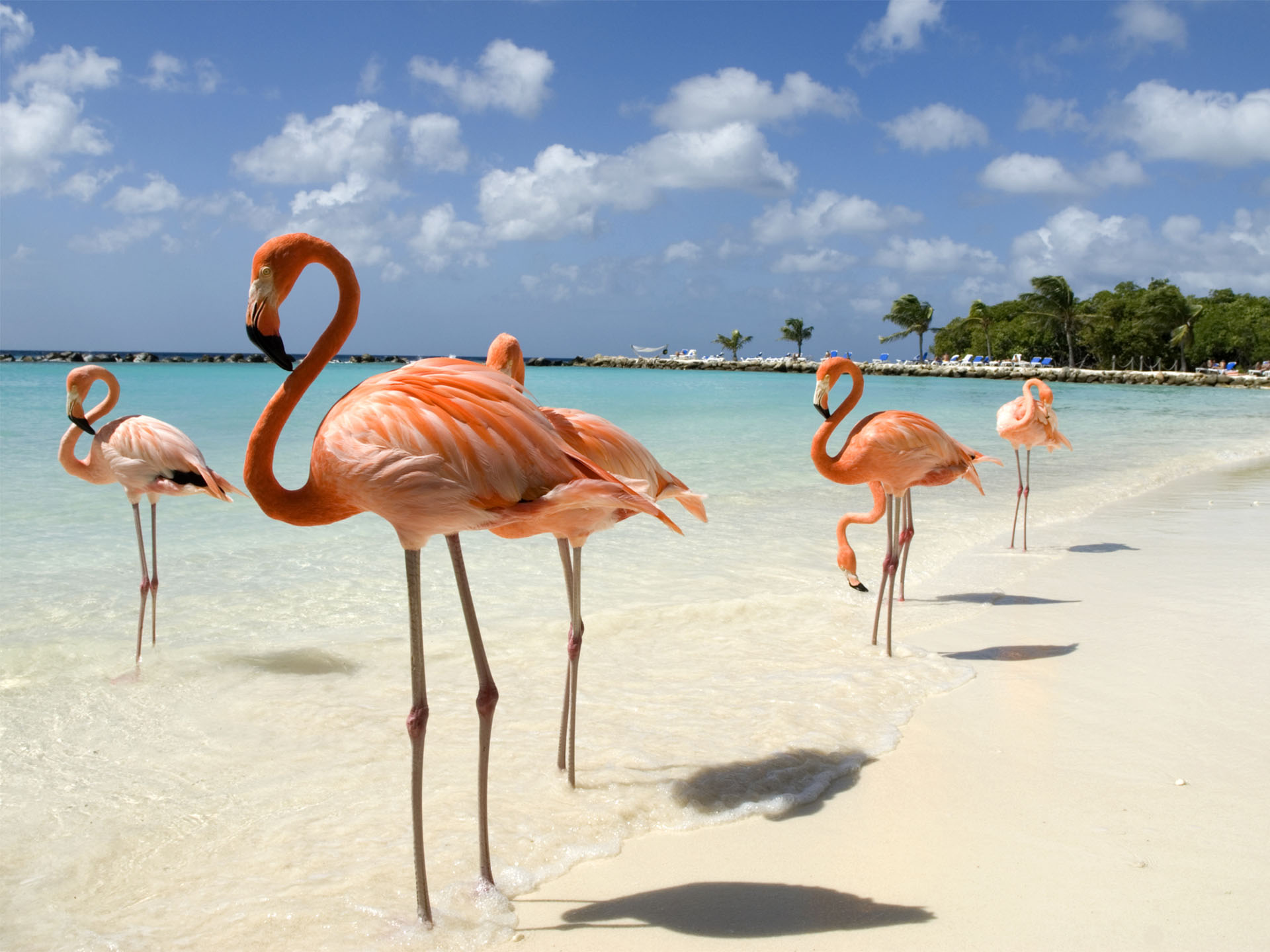 turismo caribe