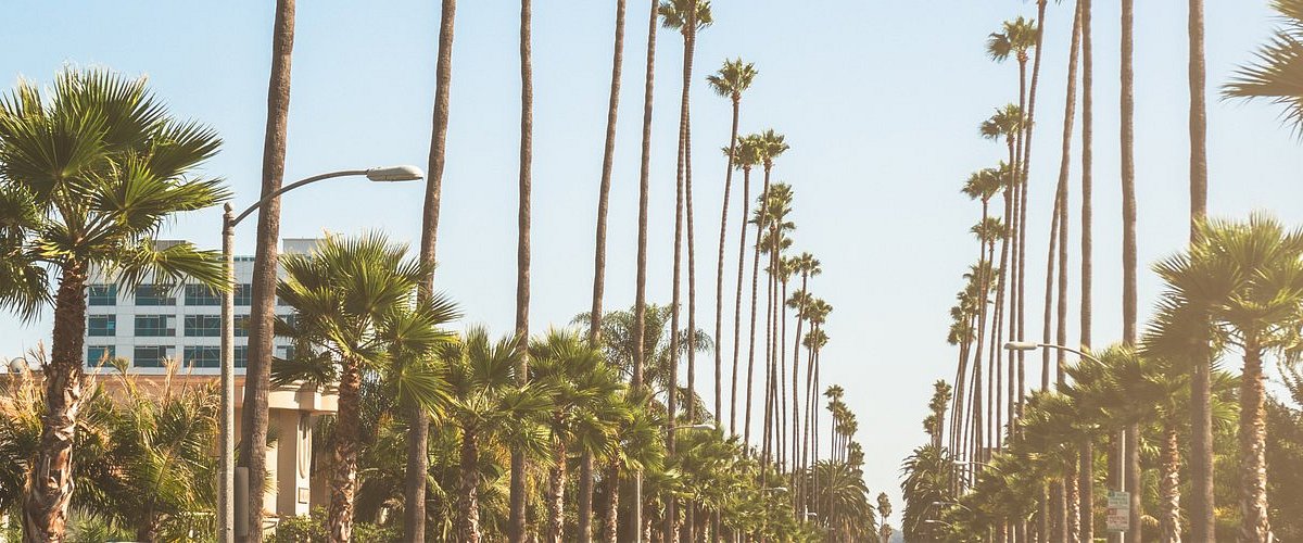 turismo em los angeles beverly hills