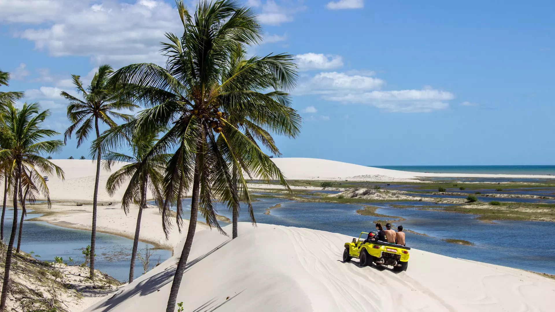 melhor época para ir a jericoacoara