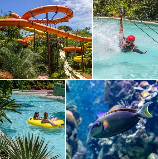 passeios em porto seguro