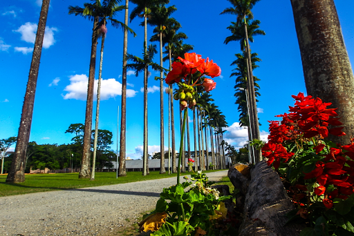 pontos turísticos São José de Ribamar