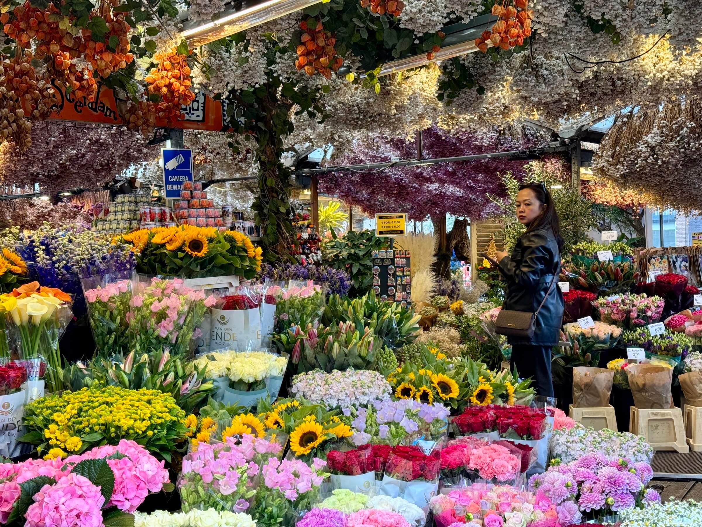 onde comprar bulbos de tulipas em Amsterdã