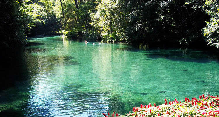 melhores parques aquáticos Caldas Novas