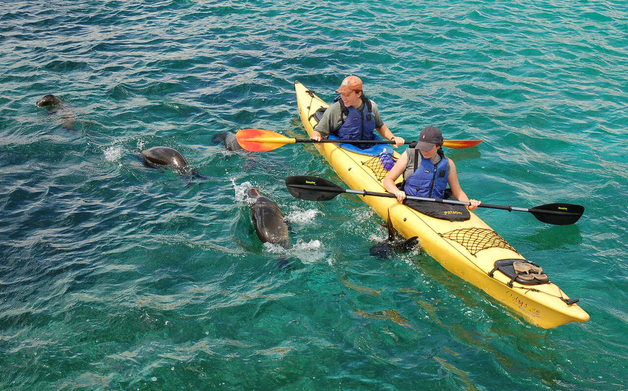 vida selvagem galápagos