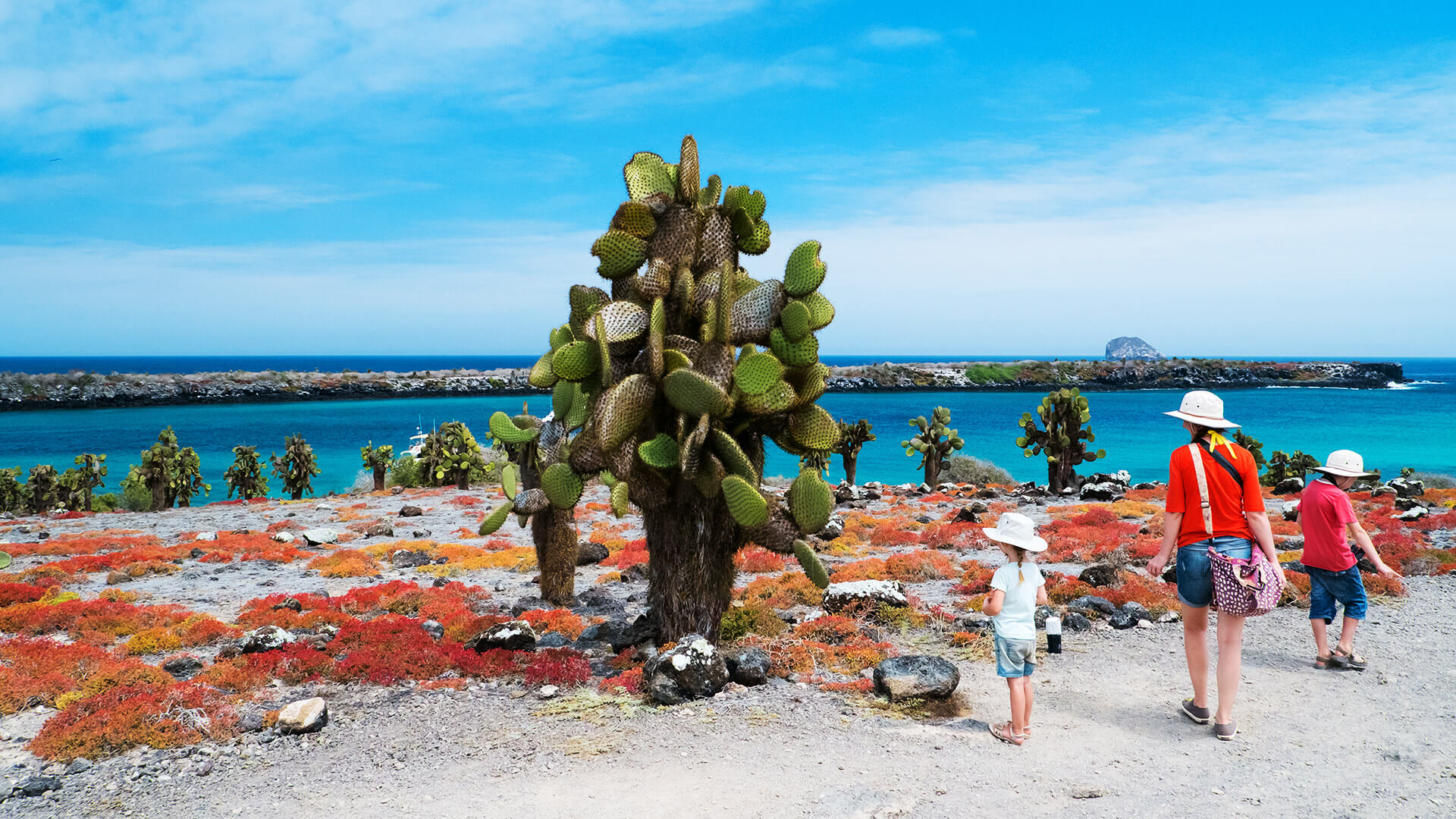 tartarugas gigantes galápagos