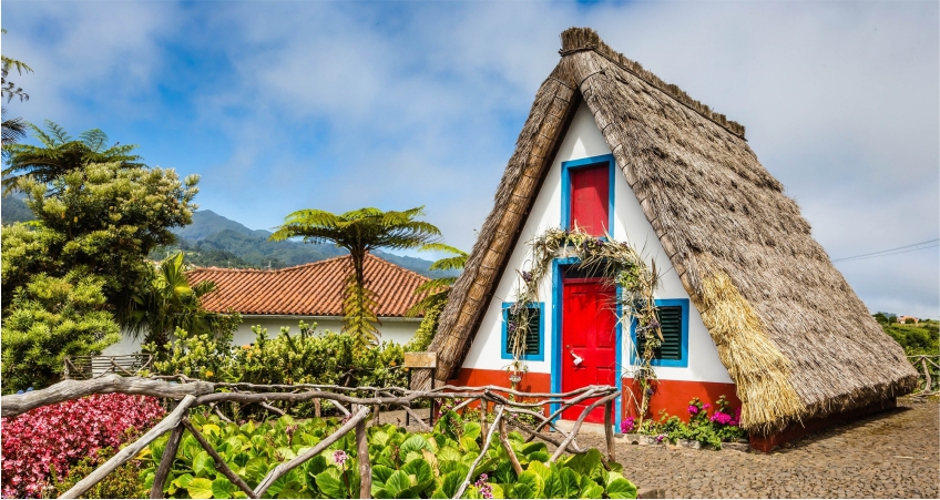 melhores trilhos madeira