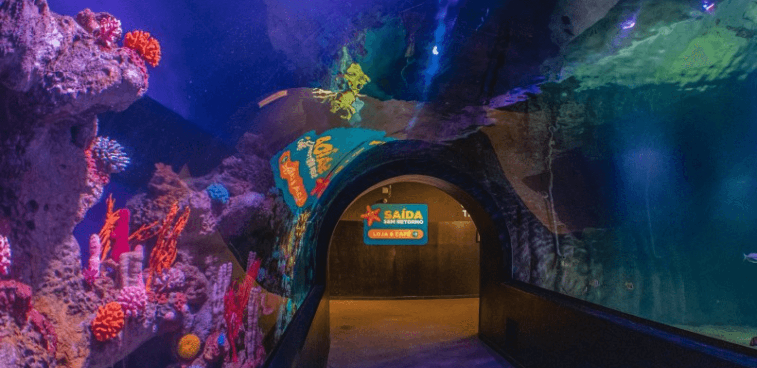 O que fazer no Oceanic Aquarium