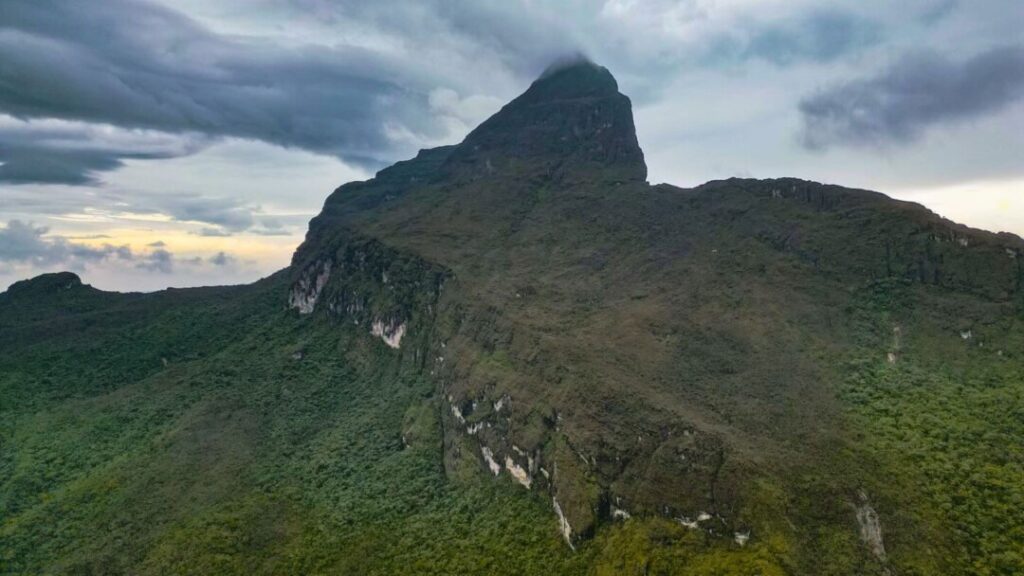 trilha Pico da Neblina