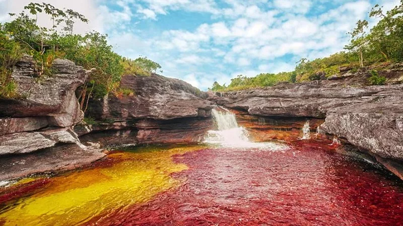 colombia viagem brasileiros