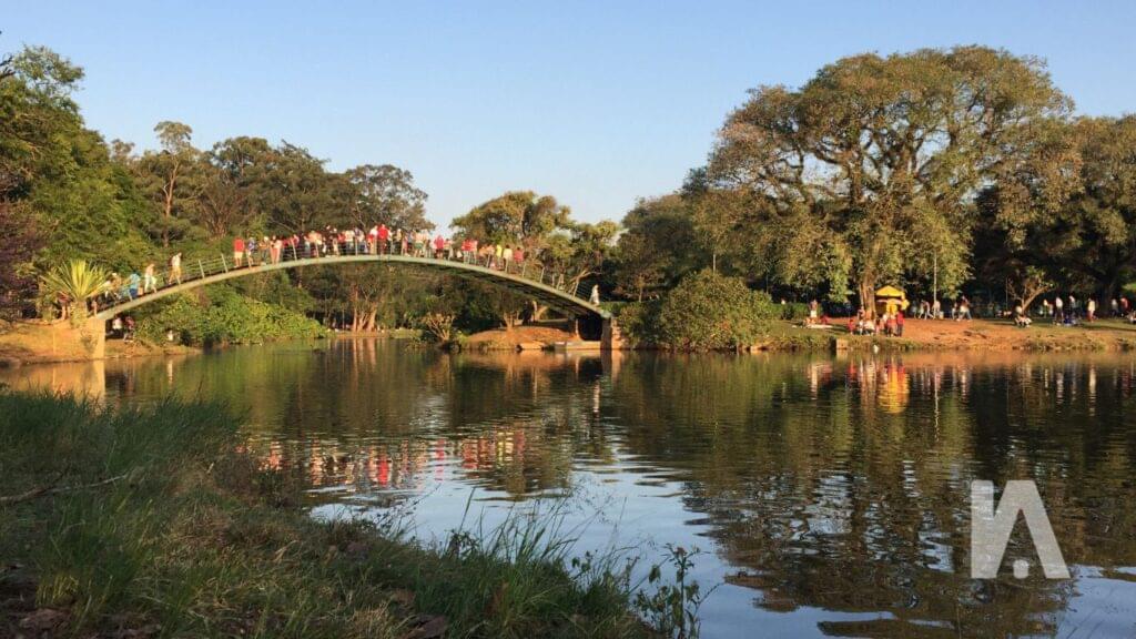 o que fazer ibirapuera