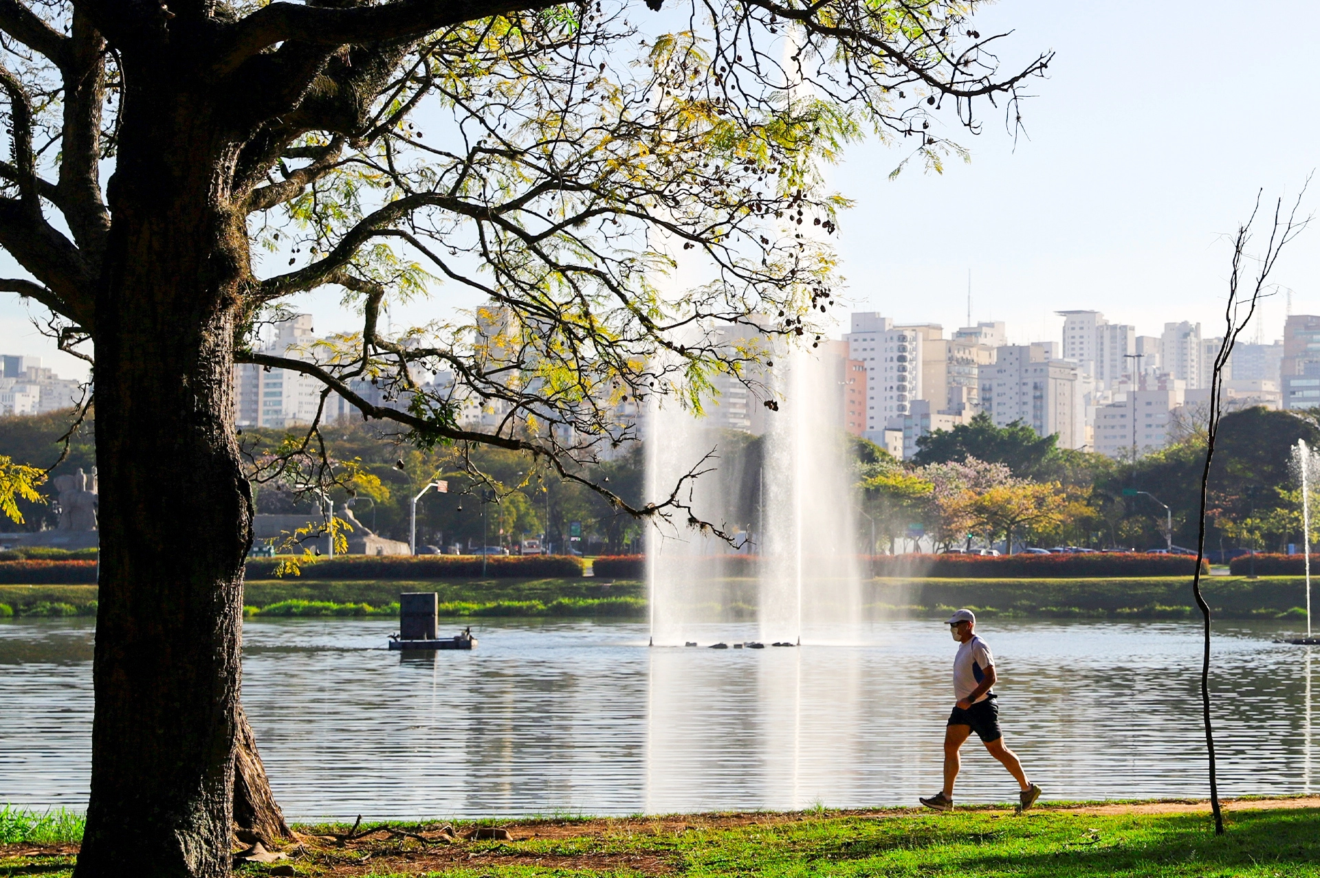 parque ibirapuera atrações