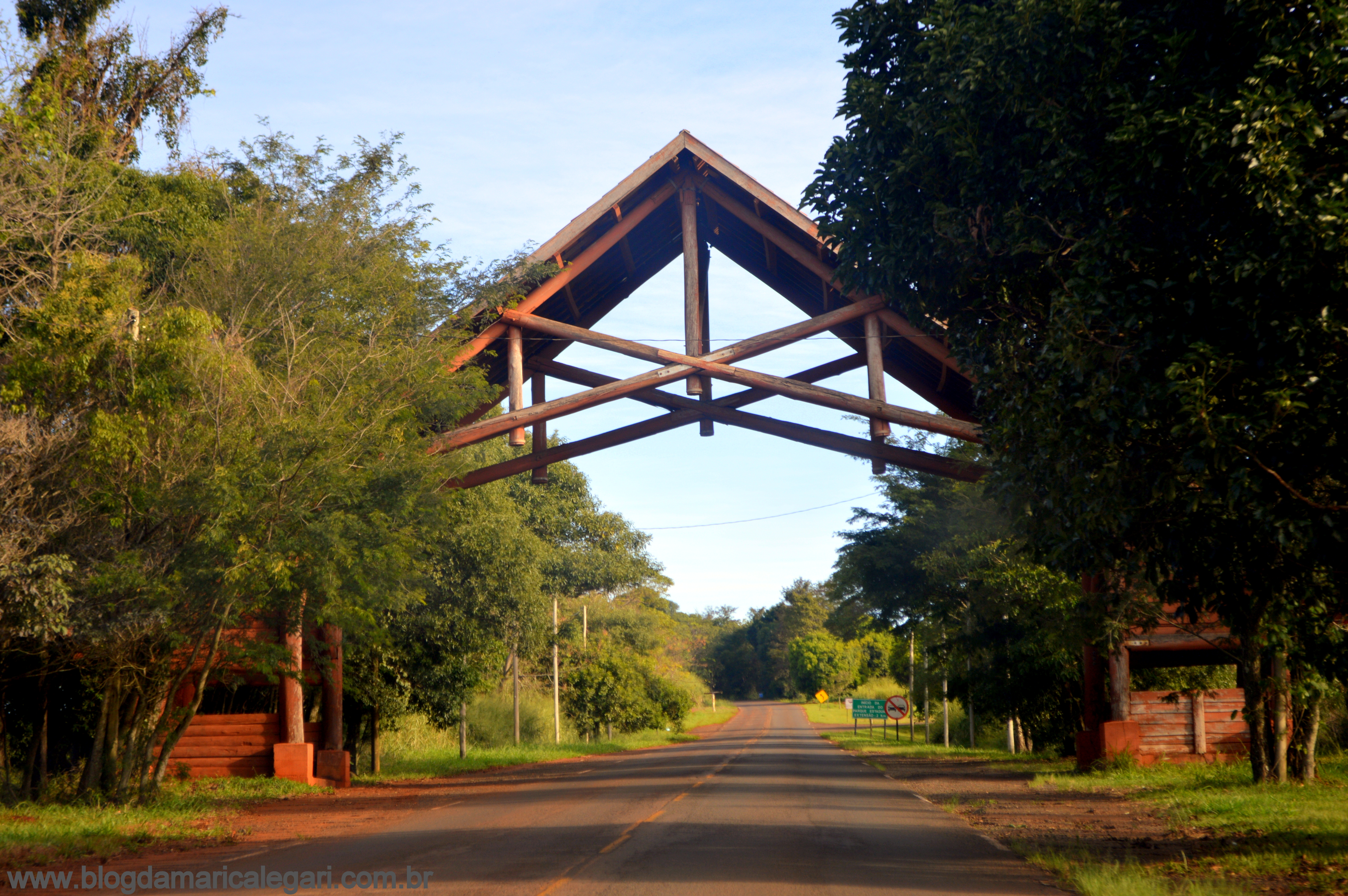 Mata Atlântica Londrina