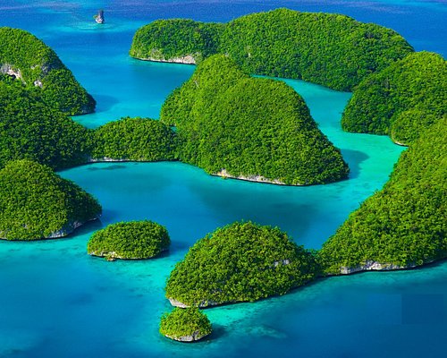 visitar Palau 2026