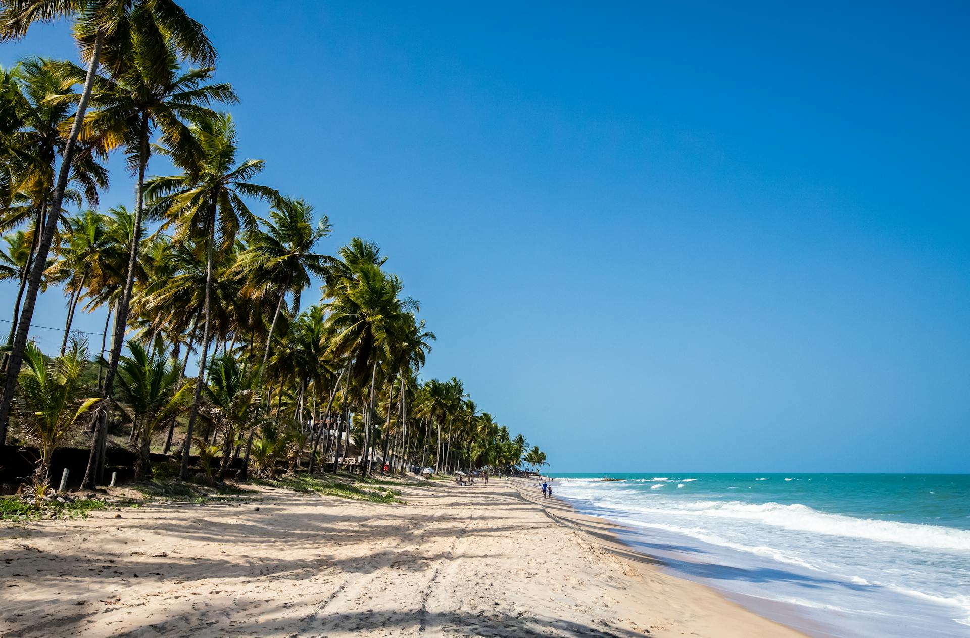 melhores praias da paraíba