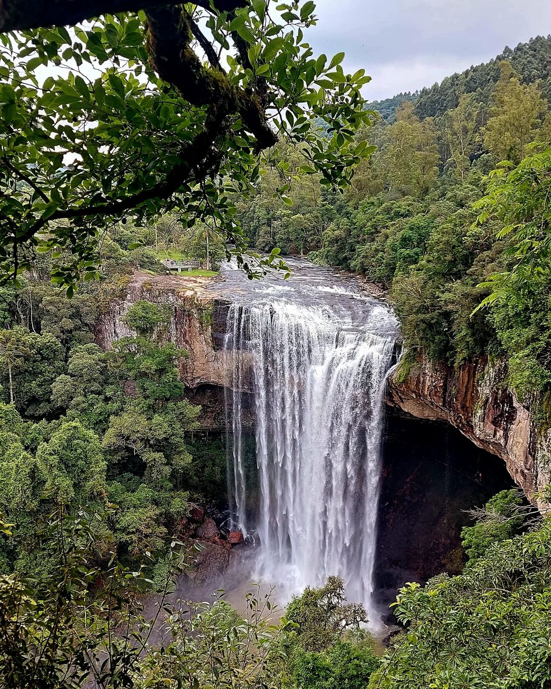 bate e volta salto