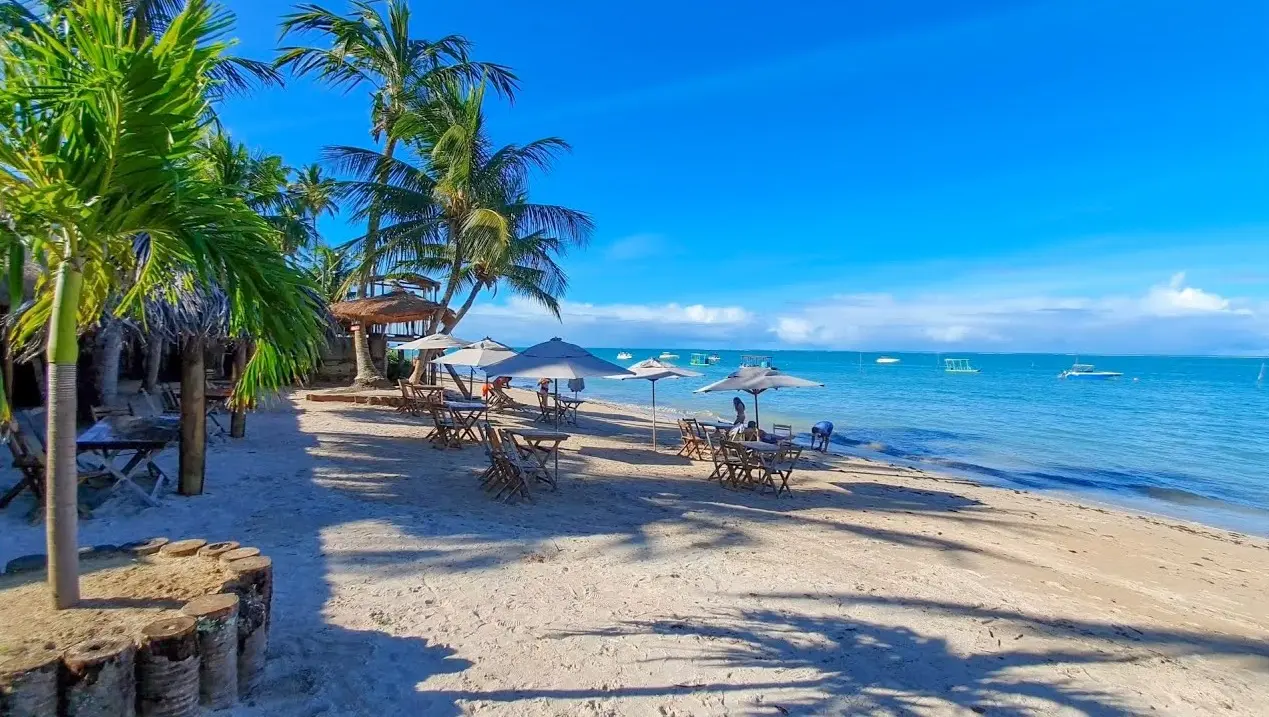 Praia Ponta de Mangue Maragogi