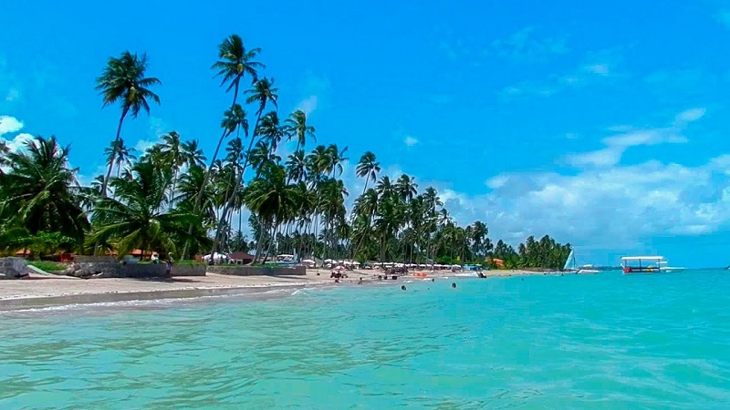 O que fazer em Ponta de Mangue