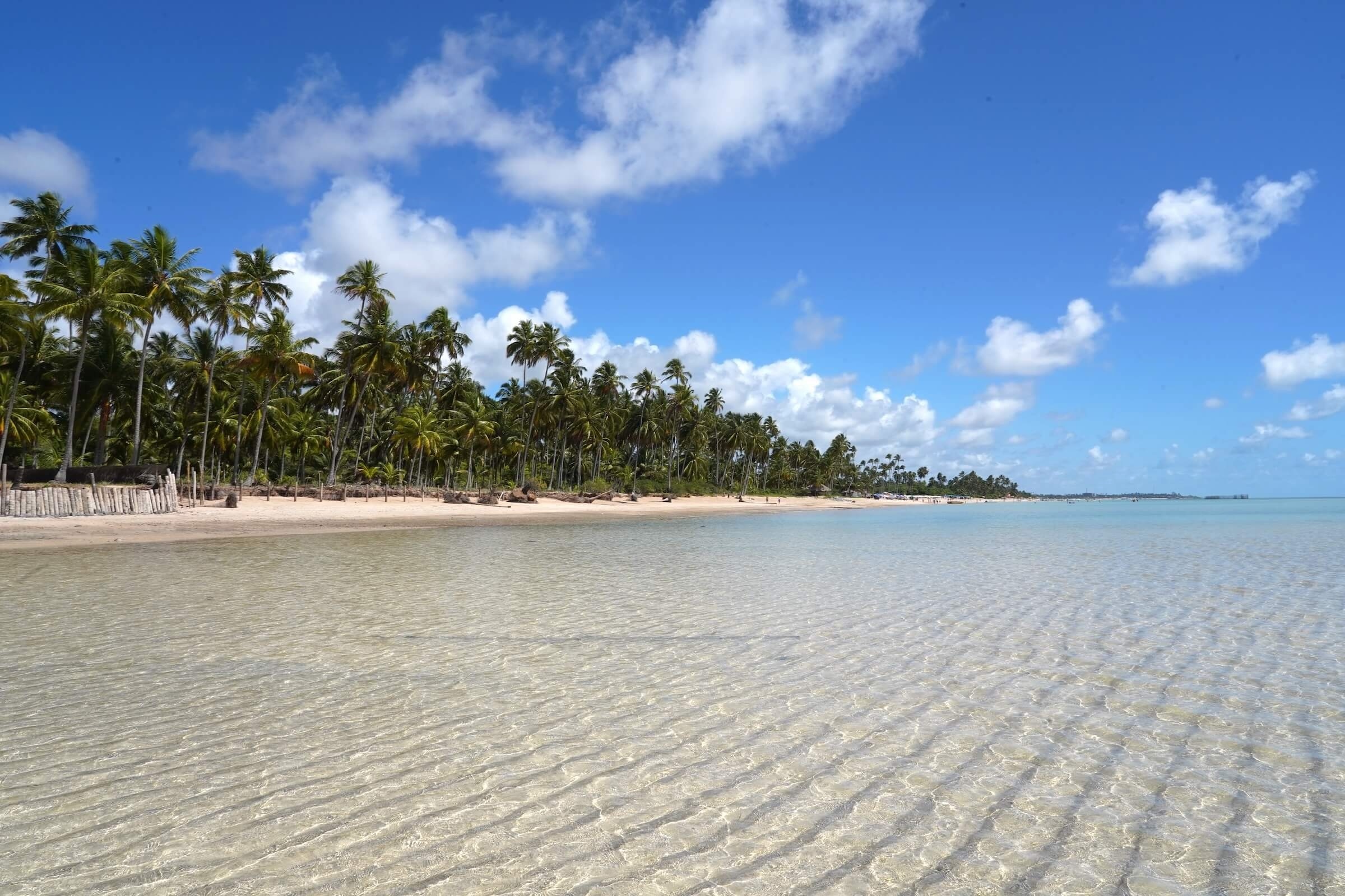 Melhor época para visitar Ponta de Mangue