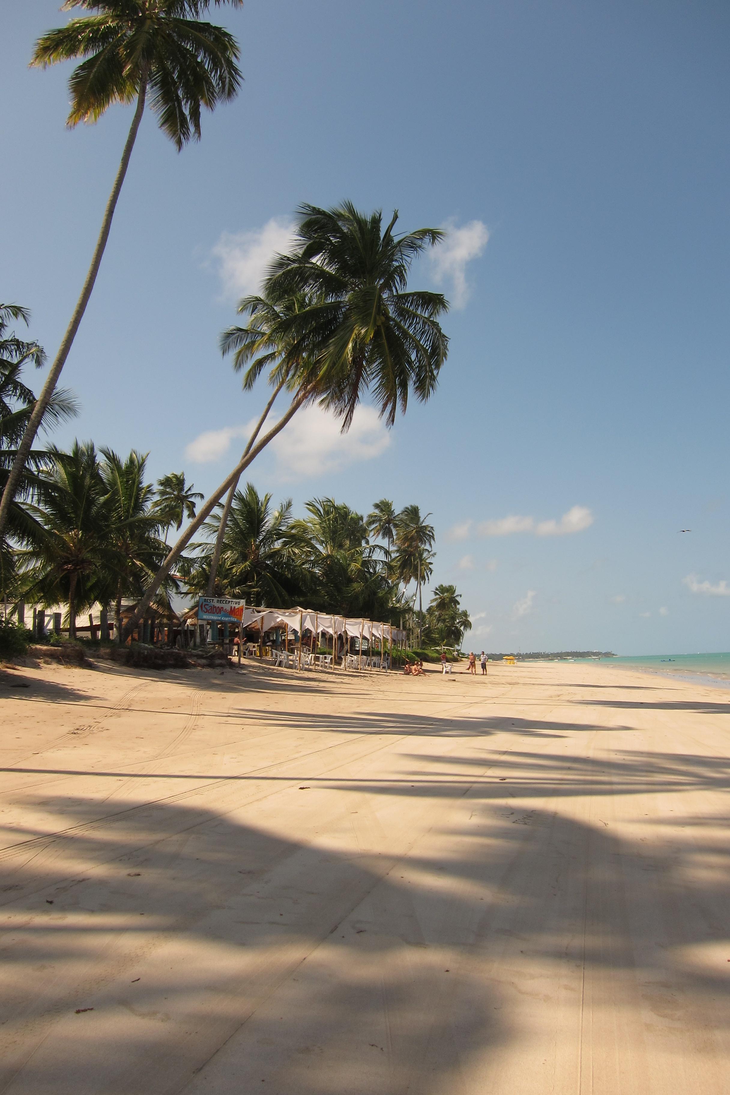 Como chegar em Ponta de Mangue