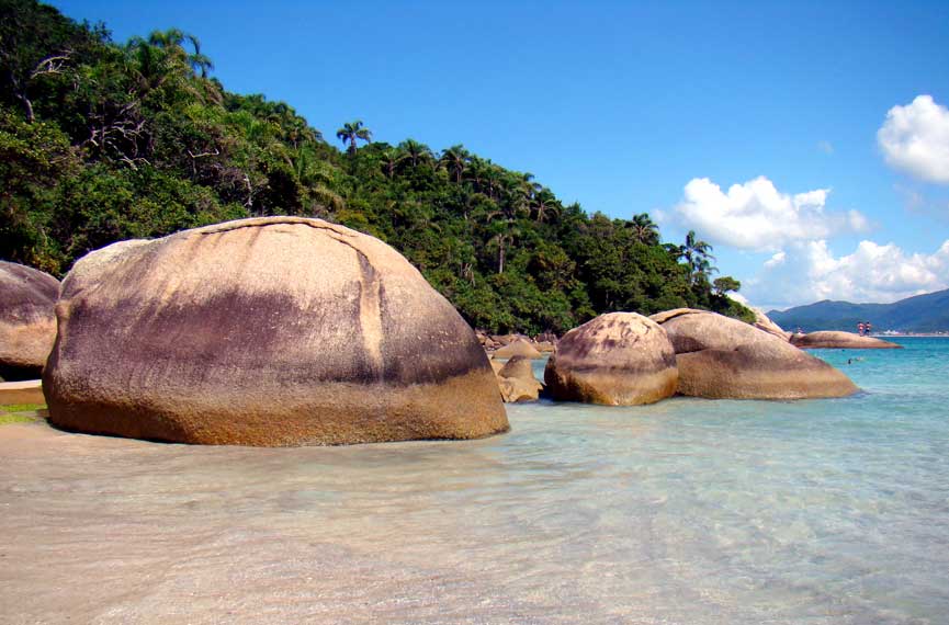 praias para surf florianópolis