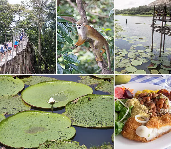 o que fazer em manaus em uma semana