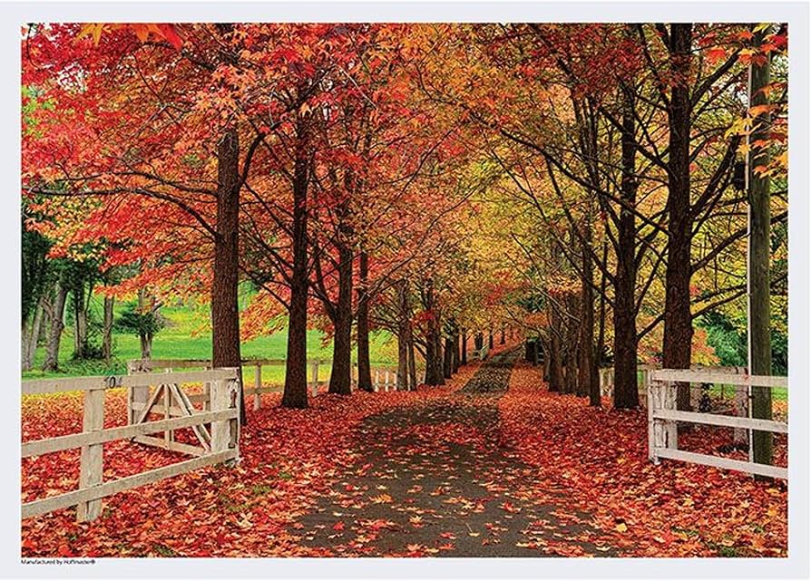 viagem outono Nova Inglaterra