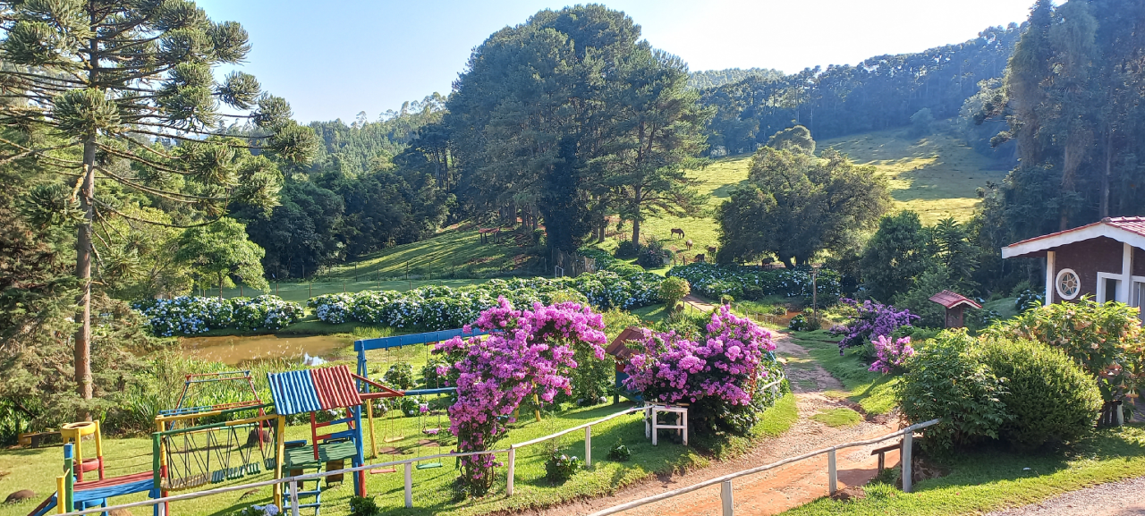 roteiro Monte Verde