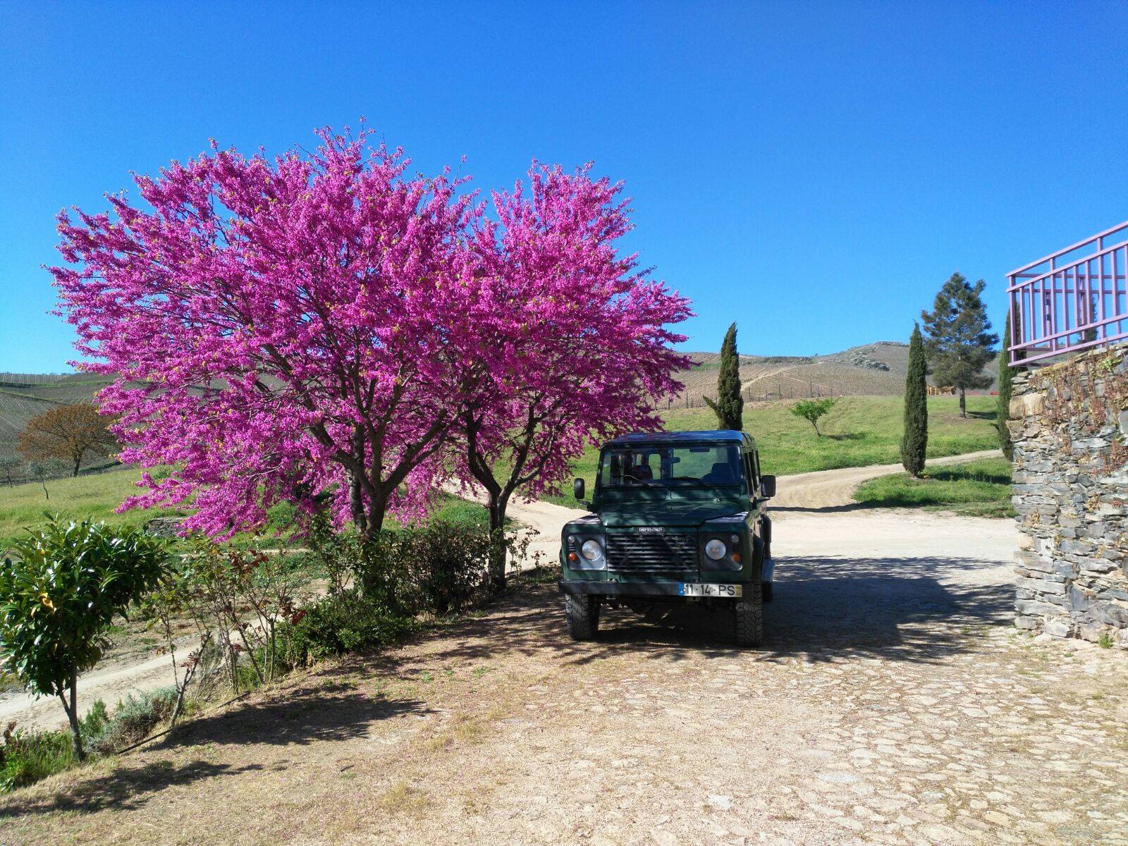 chuva portugal abril