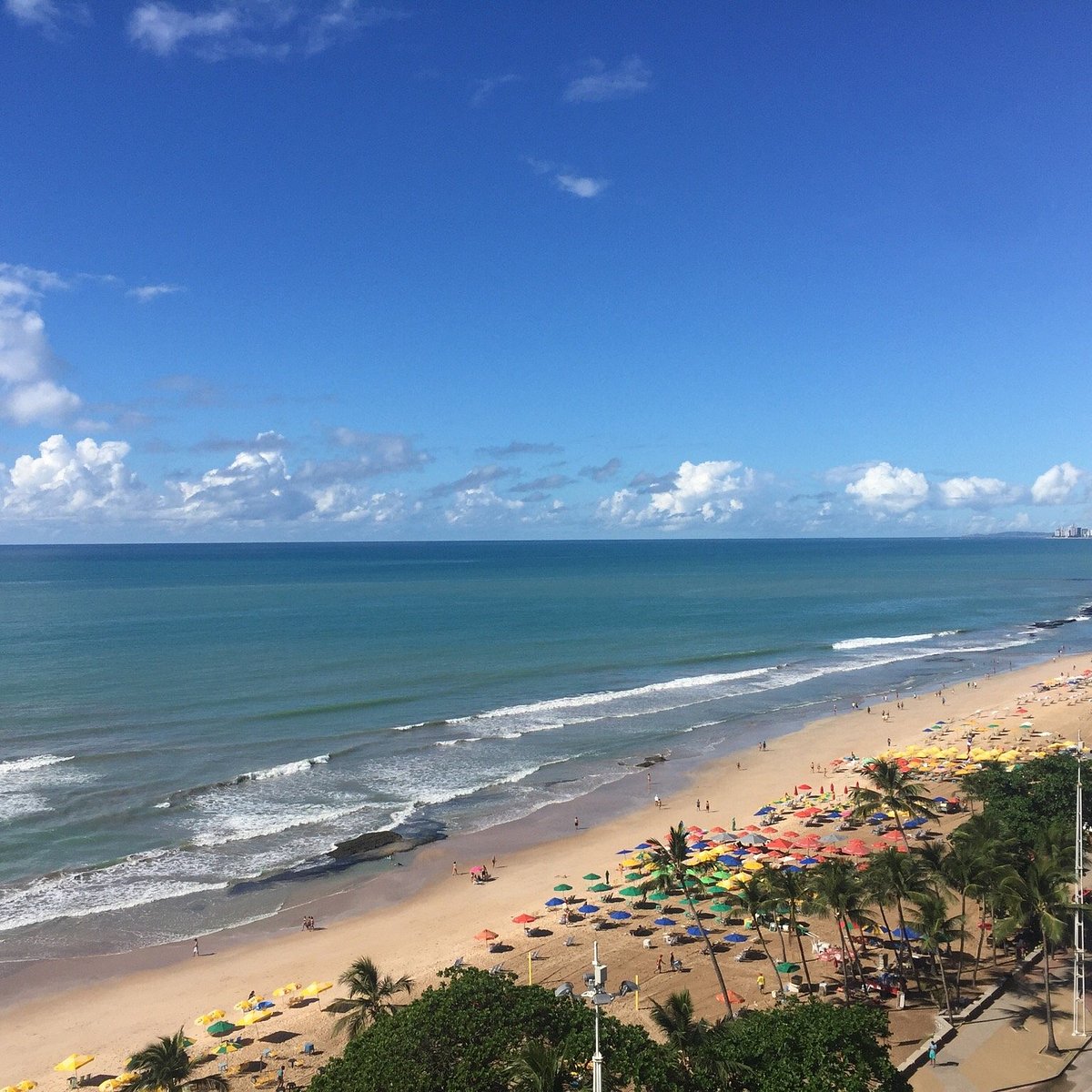segurança praia boa viagem tubarão