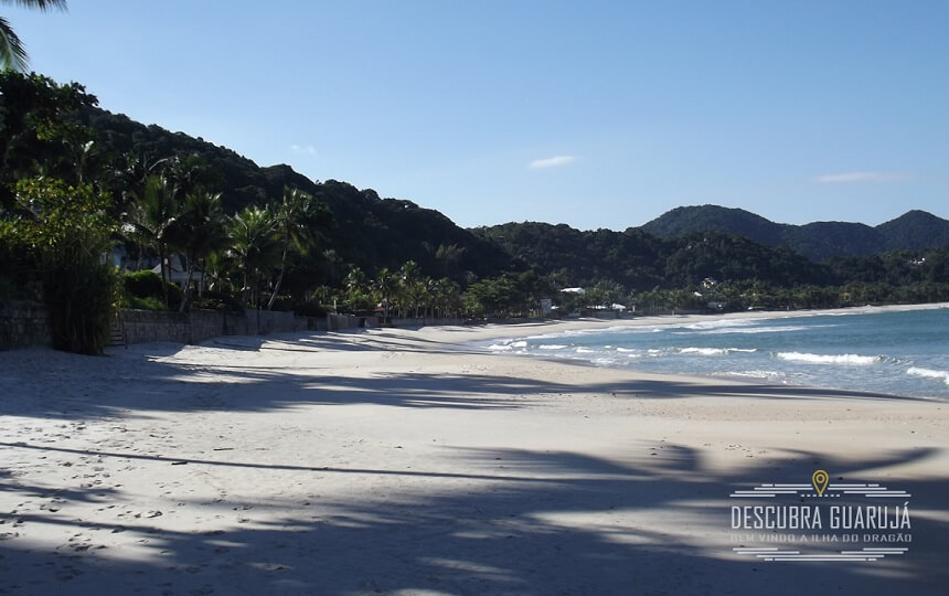 Praia de São Pedro surf