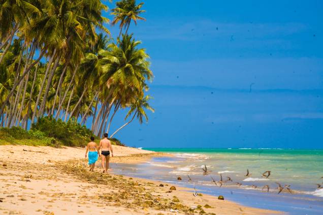 praia do patacho alagoas