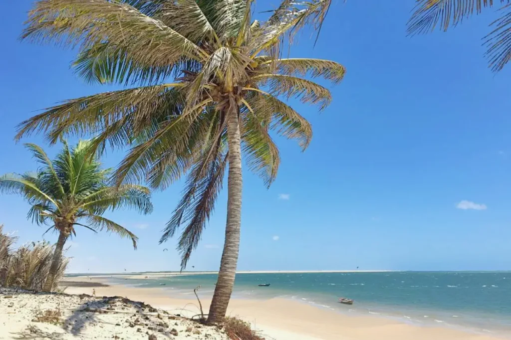 litoral maranhense
